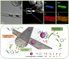 Graphical abstract: Fe/Mn nanoparticles encapsulated in nitrogen-doped carbon nanotubes as a peroxymonosulfate activator for acetamiprid degradation