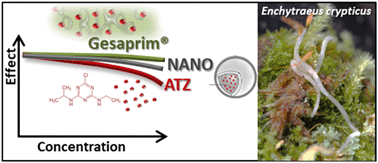 Graphical abstract: On the safety of nanoformulations to non-target soil invertebrates – an atrazine case study