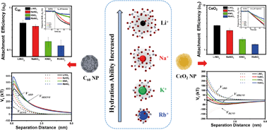 Graphical abstract: Ion specific effects of monovalent cations on deposition kinetics of engineered nanoparticles onto the silica surface in aqueous media