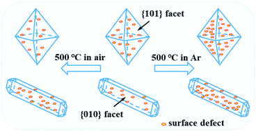 Graphical abstract: Facet-dependent evolution of surface defects in anatase TiO2 by thermal treatment: implications for environmental applications of photocatalysis