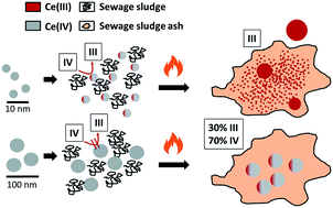 Graphical abstract: Transformation of cerium dioxide nanoparticles during sewage sludge incineration