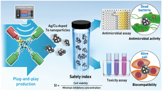 Graphical abstract: Plug-and-play safe-by-design production of metal-doped tellurium nanoparticles with safer antimicrobial activities