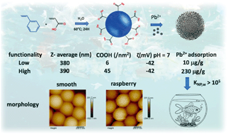 Graphical abstract: Soap- and metal-free polystyrene latex particles as a nanoplastic model
