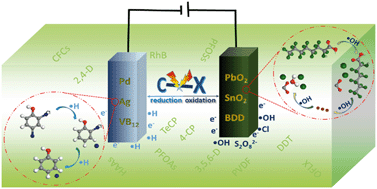 Graphical abstract: Recent advances in electrocatalysts for halogenated organic pollutant degradation