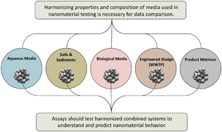 Graphical abstract: Harmonizing across environmental nanomaterial testing media for increased comparability of nanomaterial datasets