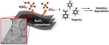 Graphical abstract: Two-dimensional RuO2 nanosheets as robust catalysts for peroxymonosulfate activation