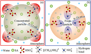 Graphical abstract: The heterogeneous reaction of dimethylamine/ammonia with sulfuric acid to promote the growth of atmospheric nanoparticles