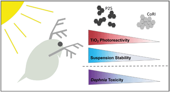 Graphical abstract: Comparing TiO2 nanoparticle formulations: stability and photoreactivity are key factors in acute toxicity to Daphnia magna