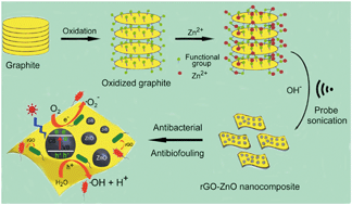 Graphical abstract: One-step sonochemical synthesis of a reduced graphene oxide – ZnO nanocomposite with antibacterial and antibiofouling properties