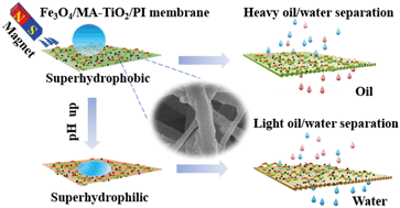 Graphical abstract: Flexible, durable and magnetic nanofibrous membrane with pH-switchable wettability for efficient on-demand oil/water separation