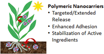 Graphical abstract: Emerging investigator series: polymeric nanocarriers for agricultural applications: synthesis, characterization, and environmental and biological interactions