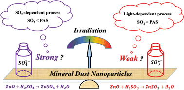 Graphical abstract: Irradiation intensity dependent heterogeneous formation of sulfate and dissolution of ZnO nanoparticles