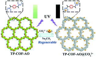 Graphical abstract: Simultaneous sensitive detection and rapid adsorption of UO22+ based on a post-modified sp2 carbon-conjugated covalent organic framework