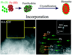 Graphical abstract: Incorporation of Pb(ii) into hematite during ferrihydrite transformation