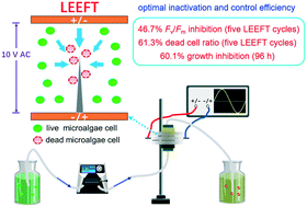 Graphical abstract: Efficient microalgae inactivation and growth control by locally enhanced electric field treatment (LEEFT)