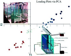 Graphical abstract: Multivariate analysis of the exposure and hazard of ceria nanomaterials in indoor aquatic mesocosms
