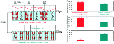 Graphical abstract: Enhancing the stability and efficiency of the anammox process in plug-flow integrated fixed-film activated sludge (IFAS) reactors through alternating anoxic/aerobic (A3) conditions