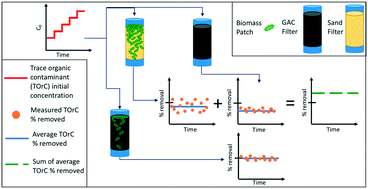 Graphical abstract: Biodegradation and attenuation of MIB and 2,4-D in drinking water biologically active sand and activated carbon filters