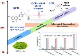 Graphical abstract: Natural organic activator quercetin for persulfate oxidative degradation of halogenated hydrocarbons