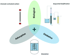 Graphical abstract: Investigating synergies in sequential biofiltration-based hybrid systems for the enhanced removal of trace organic chemicals from wastewater treatment plant effluents