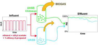 Graphical abstract: Intermittent operation of UASB reactors treating wastewater polluted with organic solvents: process performance and microbial community evaluation