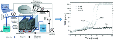 Graphical abstract: Effect of ultrafiltration membrane material on fouling dynamics in a submerged anaerobic membrane bioreactor treating domestic wastewater
