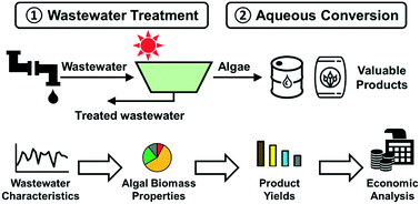 Graphical abstract: Seasonal treatment and economic evaluation of an algal wastewater system for energy and nutrient recovery