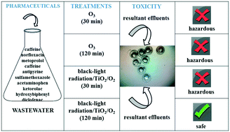 Graphical abstract: The added value of a zebrafish embryo–larval model in the assessment of wastewater tertiary treatments