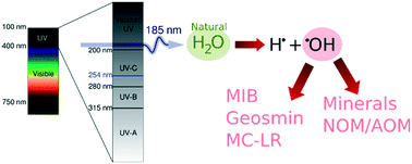 Graphical abstract: Performance of vacuum UV (VUV) for the degradation of MC-LR, geosmin, and MIB from cyanobacteria-impacted waters