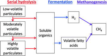 Graphical abstract: A new model with serial hydrolysis reactions for the anaerobic digestion of waste activated sludge under thermophilic conditions