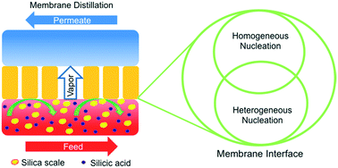 Graphical abstract: Elucidating mechanisms of silica scaling in membrane distillation: effects of membrane surface wettability