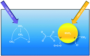 Graphical abstract: Photocatalytic reduction of chlorite in water using bismuth vanadate (BiVO4): effect of irradiance conditions and presence of oxalate on the reactivity and by-product selectivity