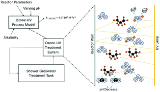 Graphical abstract: Mineralization of greywater organics by the ozone-UV advanced oxidation process: kinetic modeling and efficiency