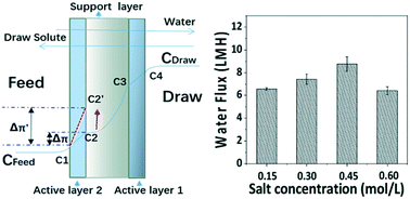 Graphical abstract: Preparation of a novel double-skinned forward osmosis membrane by reserve draw solute in support layer
