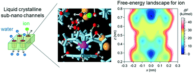 Graphical abstract: Transport mechanisms of water molecules and ions in sub-nano channels of nanostructured water treatment liquid-crystalline membranes: a molecular dynamics simulation study