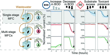 Graphical abstract: A microbial fuel cell sensor for unambiguous measurement of organic loading and definitive identification of toxic influents