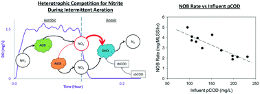 Graphical abstract: Effect of influent carbon fractionation and reactor configuration on mainstream nitrogen removal and NOB out-selection