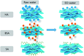 Graphical abstract: Effects of electrolytic oxidation for mitigating ultrafiltration membrane fouling caused by different natural organic matter fractions