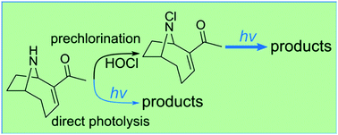 Graphical abstract: Chlorine/UV treatment of anatoxin-a by activation of the secondary amine functional group