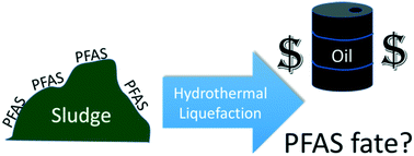 Graphical abstract: Fate of per- and polyfluoroalkyl substances (PFAS) during hydrothermal liquefaction of municipal wastewater treatment sludge
