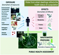Graphical abstract: Editorial Perspectives: could water fingerprinting help with community-wide health assessment?