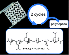 Graphical abstract: Poly(alkyl glycidyl ether) hydrogels for harnessing the bioactivity of engineered microbes
