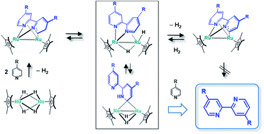 Graphical abstract: Diruthenium complexes having a partially hydrogenated bipyridine ligand: plausible mechanism for the dehydrogenative coupling of pyridines at a diruthenium site