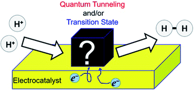 Graphical abstract: Quantum proton tunneling in multi-electron/-proton transfer electrode processes