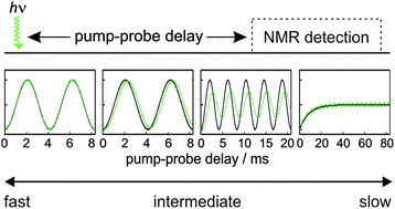 Graphical abstract: Towards measuring reactivity on micro-to-millisecond timescales with laser pump, NMR probe spectroscopy