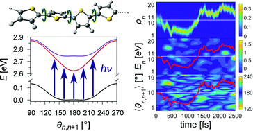 Graphical abstract: First-principles quantum simulations of exciton diffusion on a minimal oligothiophene chain at finite temperature