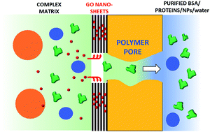 Graphical abstract: Core–shell graphene oxide–polymer hollow fibers as water filters with enhanced performance and selectivity