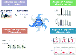 Graphical abstract: Attenuation of allergic responses following treatment with resveratrol in anaphylactic models and IgE-mediated mast cells