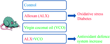 Graphical abstract: The protective role of virgin coconut oil on the alloxan-induced oxidative stress in the liver, kidneys and heart of diabetic rats