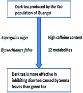 Graphical abstract: Animal study of the anti-diarrhea effect and microbial diversity of dark tea produced by the Yao population of Guangxi